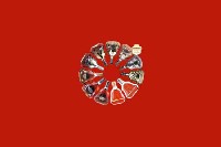 阆中市回收红酒